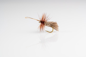 Traditional caddis sedge  Dry Fly Fishing fly against a white background with copy space