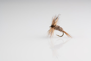 Traditional irrisistible caddis Dry Fly Fishing fly against a white background with copy space