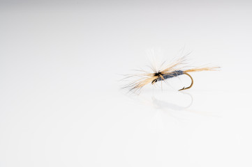 Traditional Grey Duster Parachute Dry Fly Fishing fly against a white background with copy space