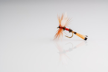 Traditional Royal Coachman Dry Fly Fishing fly against a white background with copy space