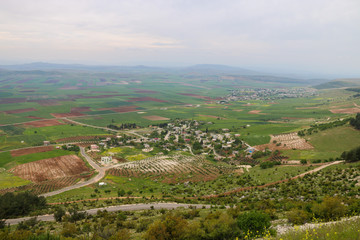 Fototapeta premium green land scape in turkey