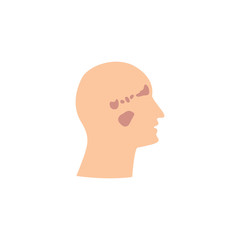 Male face with sinuses anatomical scheme isolated vector illustration.