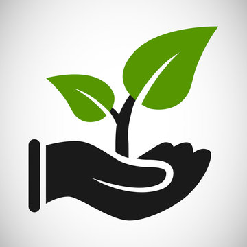 Hand with growing leavs ecology agriculture icon
