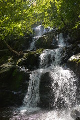 Obraz premium WATERFALL