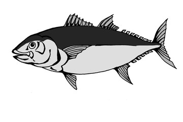 鮪・しろくろ　on white background