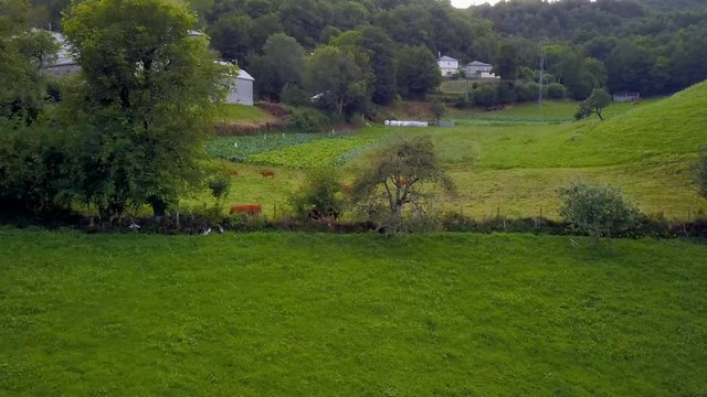 FIELDS AND FORESTS OF CAUREL.PANORAMIC AERIAL