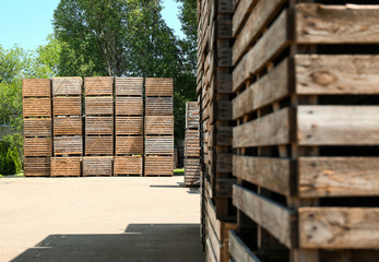 Old empty wooden crates outdoors on sunny day. Space for text