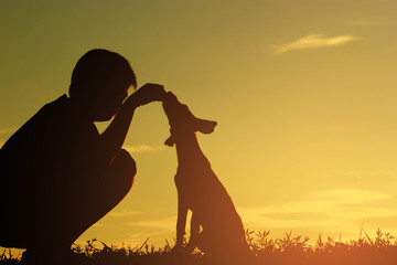 A silhouette of a little child boy playing with dog at sunset.