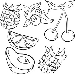 Vector contour illustration with fruit, cherry, orange, blueberry, blackberry, raspberry and avocado on white background. Good for printing. Coloring book idea.