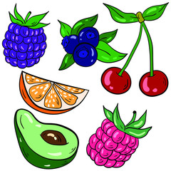 Vector illustration with blackberry, blueberry, cherry, orange, avocado, raspberry on white background. Good for printing. Postcard and logo idea.