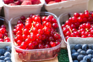 Fresh Redcurrant and Blueberry on sale