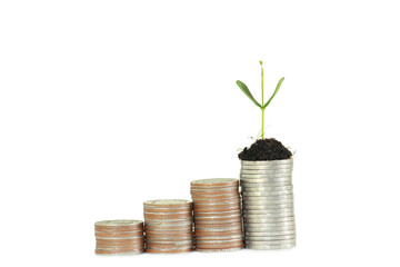 Monthly savings increase every day, Trees growing on coin, isolated on white background.