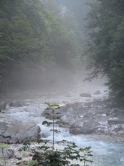 Fluss im Nebel Morgenstimmung Koritnica