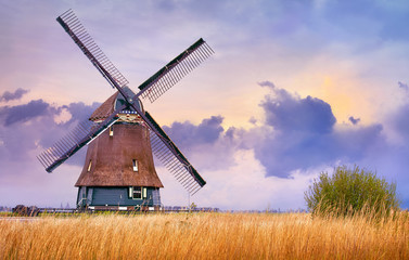 Volendam, Nederland. Traditioneel Hollands landschap met typisch Nederlandse windmolen en geel grasveld, avondzonsondergang op het platteland.