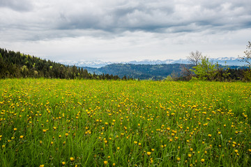 Beautiful foggy Gorce mountains landscape