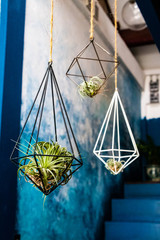 Kreative Innendekoration