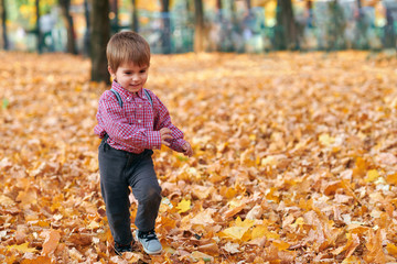Happy child playing, posing, smiling and having fun in autumn city park. Bright yellow trees and leaves