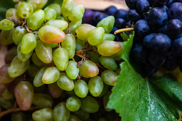 Organic food concept