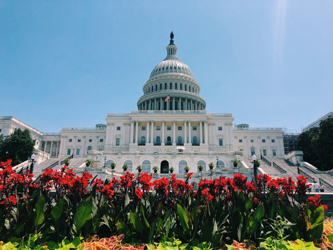 The Capitol