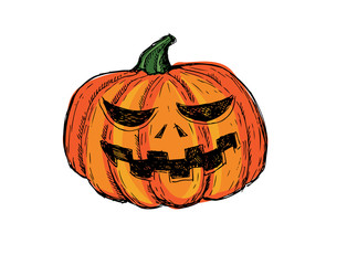 Halloween pumpkin. Hand drawn illustration.
