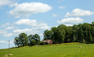 Swedish house in nature