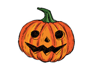 Halloween pumpkin. Hand drawn illustration.