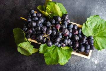 Organic food concept