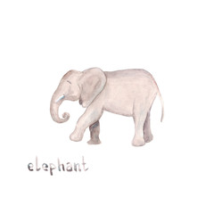 Fototapeta premium Watercolor hand drawn sketch illustrations of African elephant with lettering elephant isolated on white
