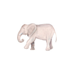Watercolor hand drawn sketch illustrations of African elephant isolated on white