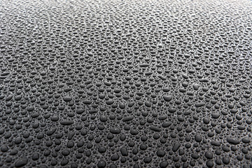 hundreds and thousands of water droplets beading on a gloss black surface of a waxed car