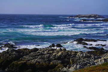 Beautiful coastline scenery with ocean waves, pink flowers and rocks cliff on Pacific Coast, California, US