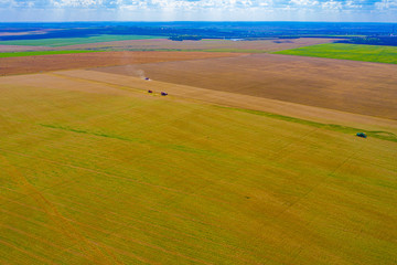 Harvester machine working in field . Combine harvester agriculture machine harvesting golden ripe wheat field.. Aerial view.