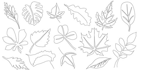 Set of hand drawn scribble leaves. Collection of leaves of different plants in doddles style. Design element. Continuous line. Vector. Isolated on white background.