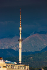 Obraz premium tower