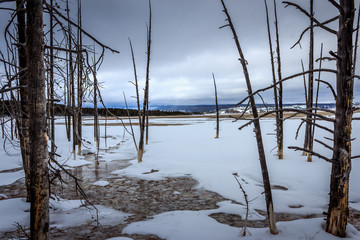 Yellowstone Winter