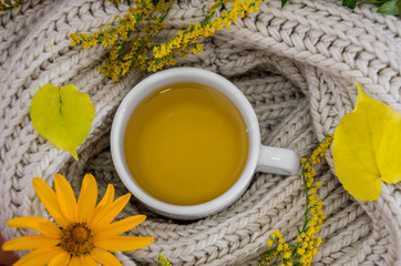 cup of tea in a scarf. View from above. Close-up.
