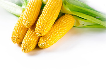 Fresh juicy yellow corn bonduel with green leaves lies on the wooden table