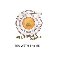 Tea with thyme in glass cup - top view drawing with leaf twig arrangement