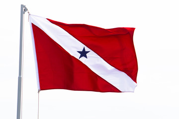 Para (a northern state of Brazil) flag, flying on a flagpole with white background.