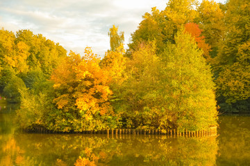Fototapeta premium beautiful autumn trees with yellow branches and leaves near water with reflection with nobody