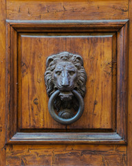 lion knocker on wooden door