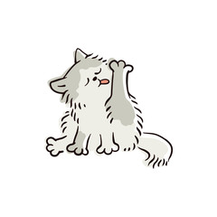 Cute domestic cat cleaning its fur. Feline animal cartoon character licking its paw