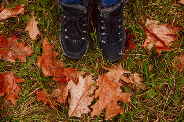 Autumn season and feet in black sneakers on a field with yelloew leves