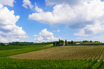 Fototapeta na wymiar landscape with field and blue sky