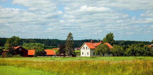 Rural landscape with houses