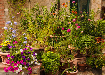 flowers in many pots Italy 