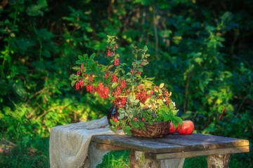 Summer still life open air