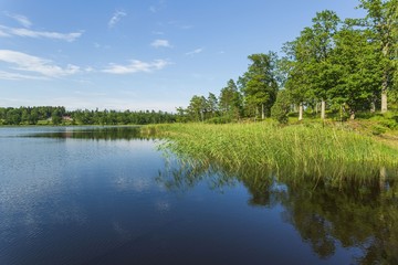 Fototapeta na wymiar Beautiful view of lake landscape surrounded with green forest trees and plants. Blue sky reflecting in mirror water surface. Sweden. Europe. 