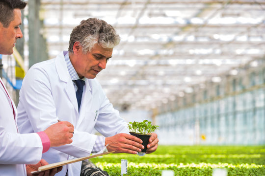 Male botanists examining herbs while writing on clipboard in plant nursery