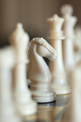 Cavalo branco © Jhesley